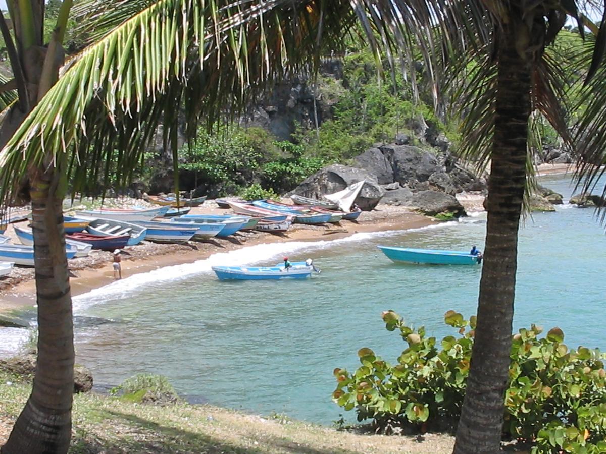 Hotel El Viejo Pirata Boca de Yuma エクステリア 写真